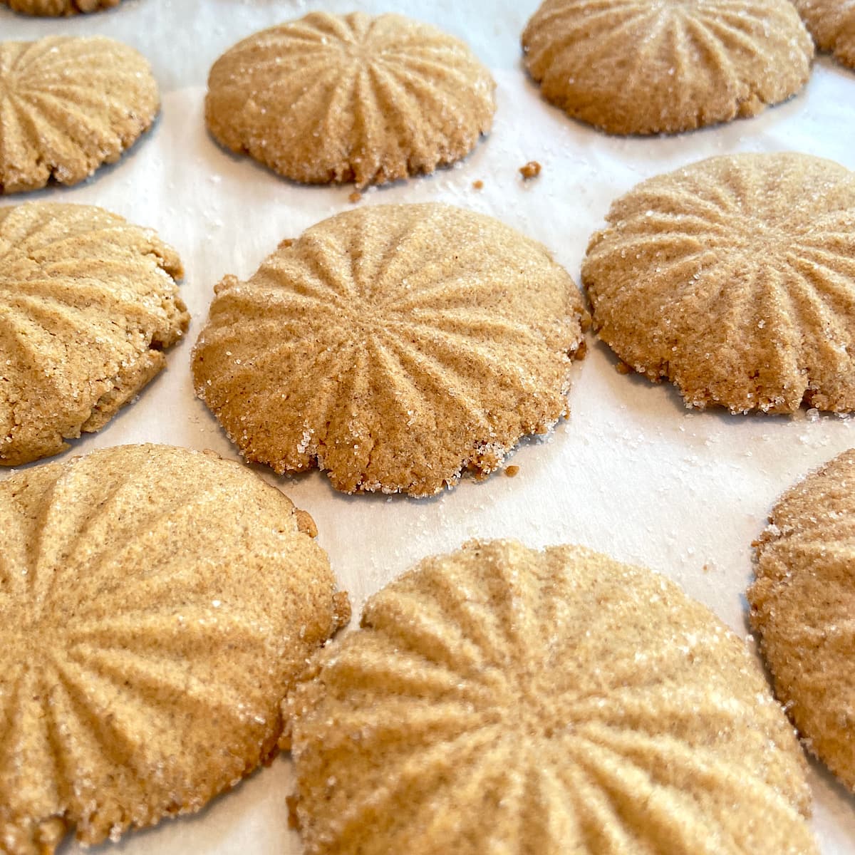 freshly baked spice cookies.