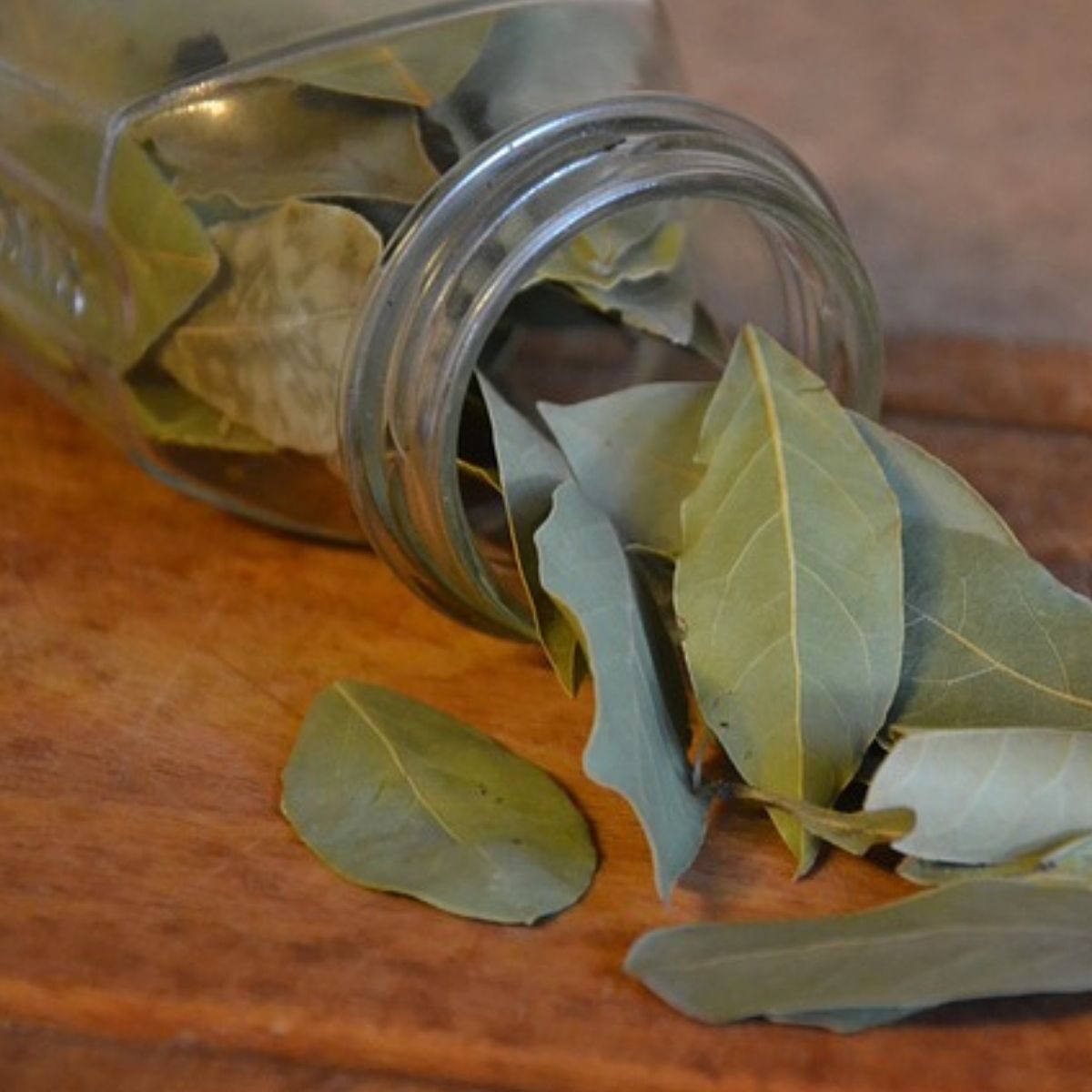jar of bay leaves tipped over