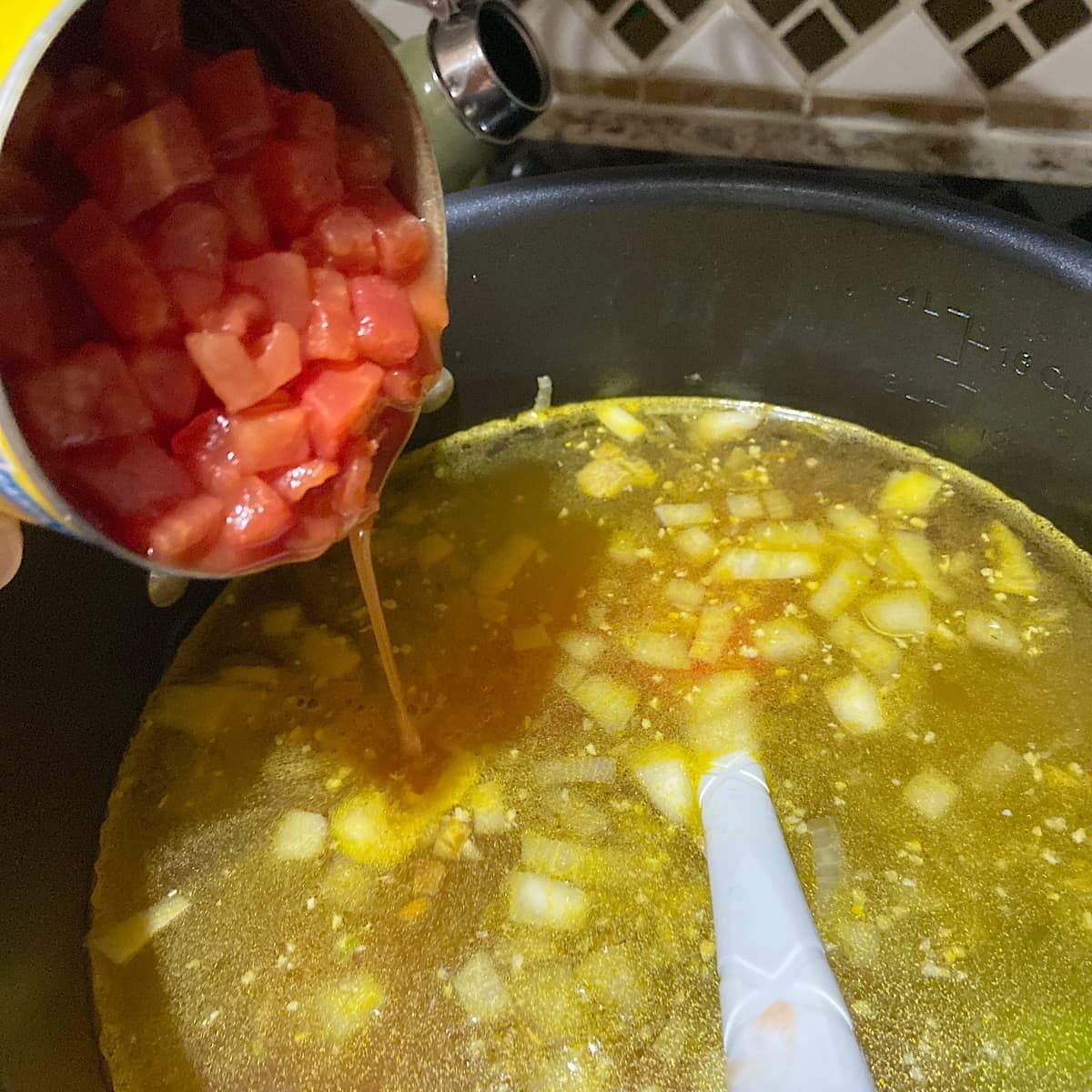 Add can of petite diced tomatoes to soup 
