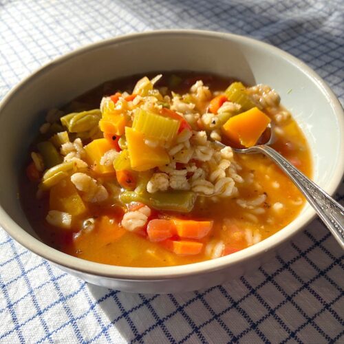 bowl of vegetable barley soup