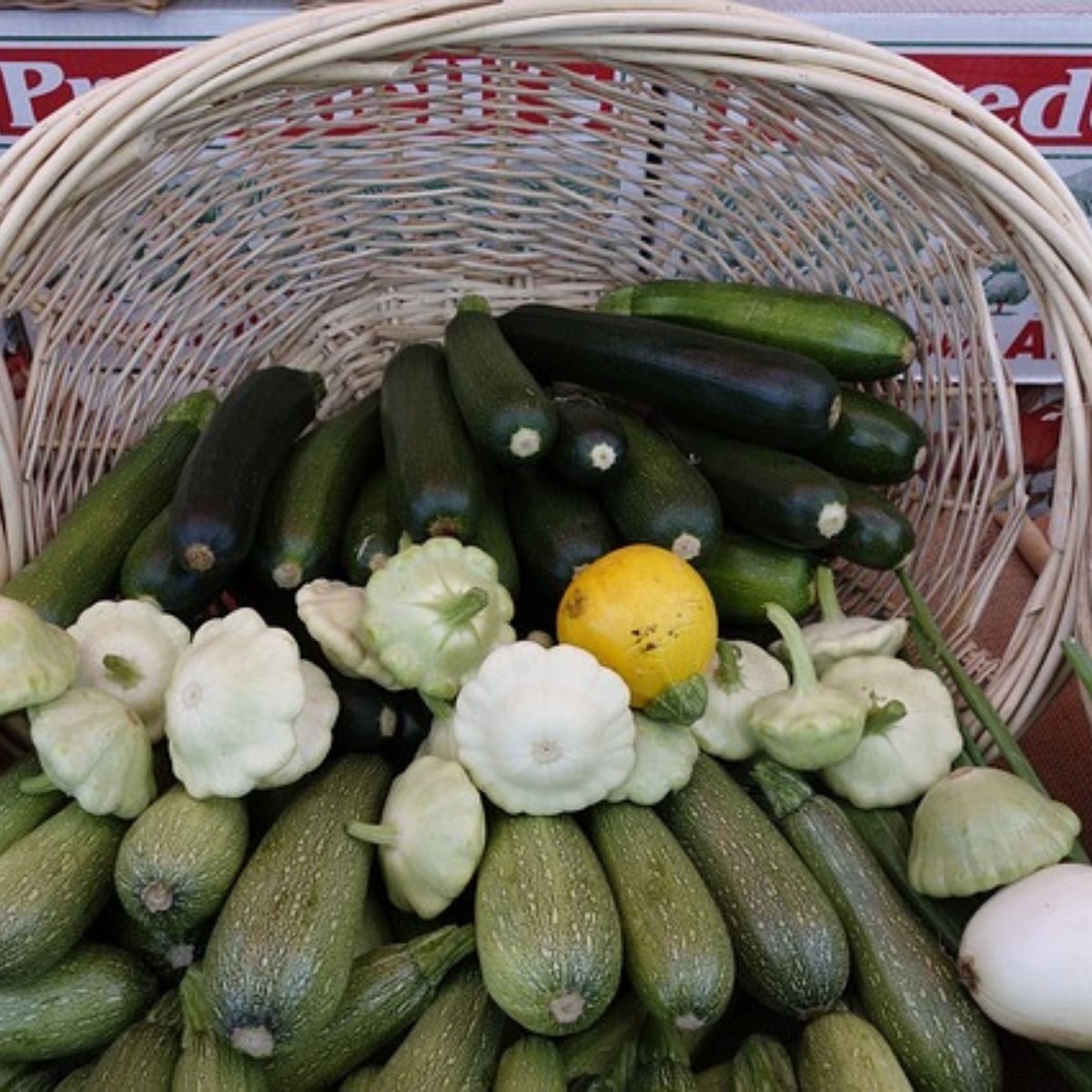 basket of vining vegetables including zucchini, and squash